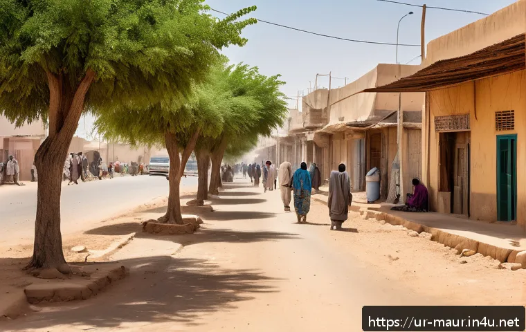 모리타니 기후 변화 영향 - A detailed urban scene in Nouakchott, Mauritania, showcasing the urban heat island effect under a sc...